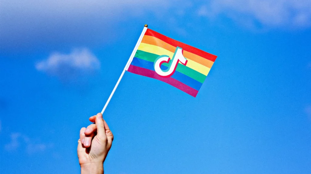 LGBT TikTok Flag