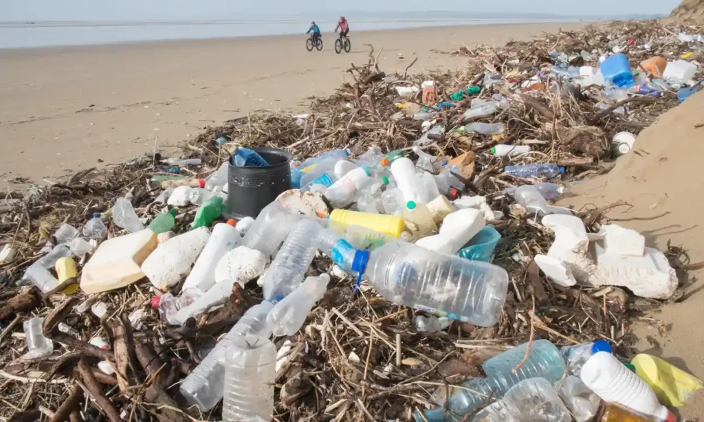 Single-use plastics washed up in Camarthenshire